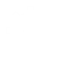 Cost icon