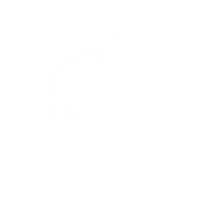 Optimise icon