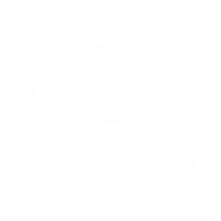 Performance icon